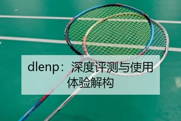dlenp:深度评测与使用体验解构