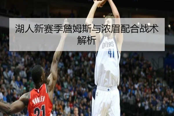 湖人新赛季詹姆斯与浓眉配合战术解析