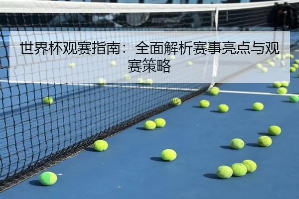 世界杯观赛指南：全面解析赛事亮点与观赛策略